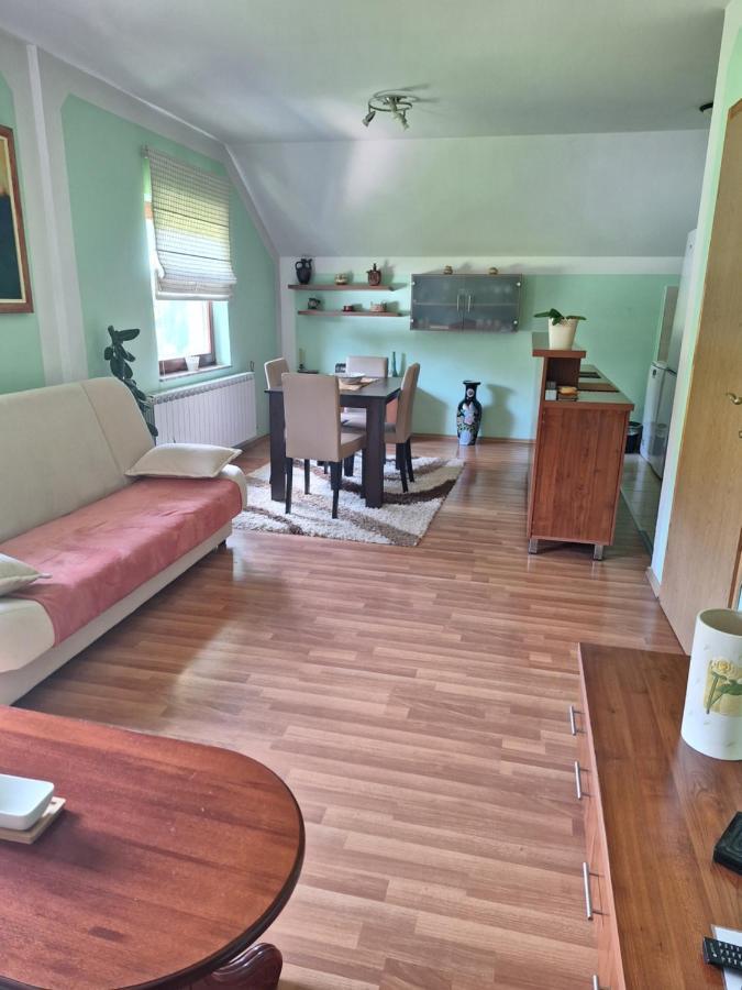 Apartman Sara Pale - Ski Centar Ravna Planina Extérieur photo