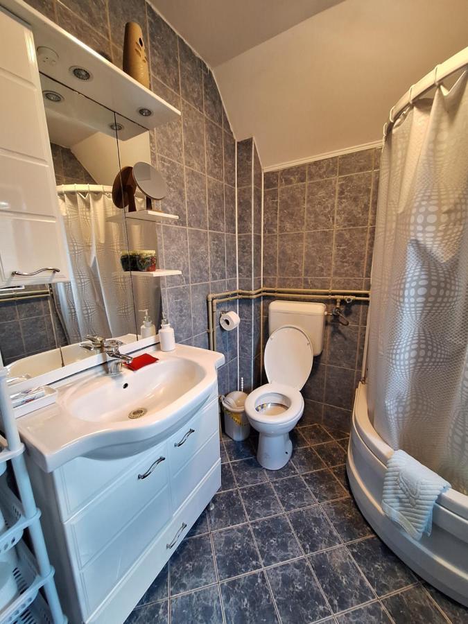 Apartman Sara Pale - Ski Centar Ravna Planina Extérieur photo