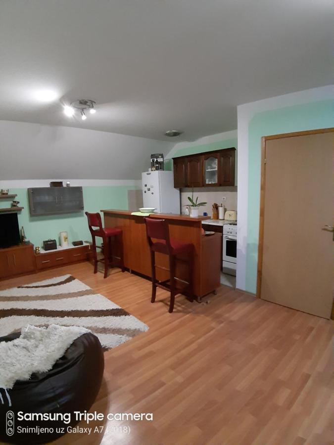 Apartman Sara Pale - Ski Centar Ravna Planina Extérieur photo